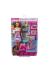 HHB70 Barbie ve Yavru Kedileri Oyun Seti
