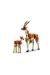 31150 LEGO® Creator 3’ü1 arada Vahşi Safari Hayvanları 780 parça +9 yaş