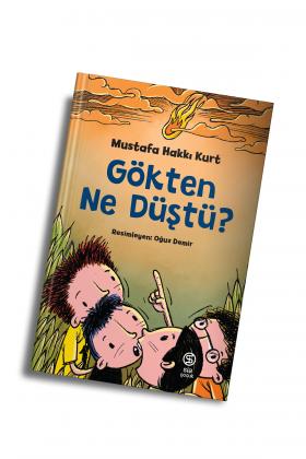 Gökten Ne Düştü - Mustafa Hakkı Kurt