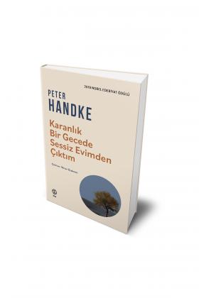 Karanlık Bir Gecede Sessiz Evimden Çıktım - Peter Handke