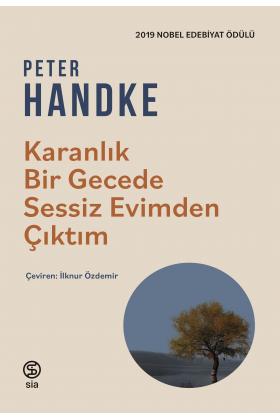 Karanlık Bir Gecede Sessiz Evimden Çıktım - Peter Handke